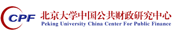 欧美大片ppt免费大全中国公共财政研究中心